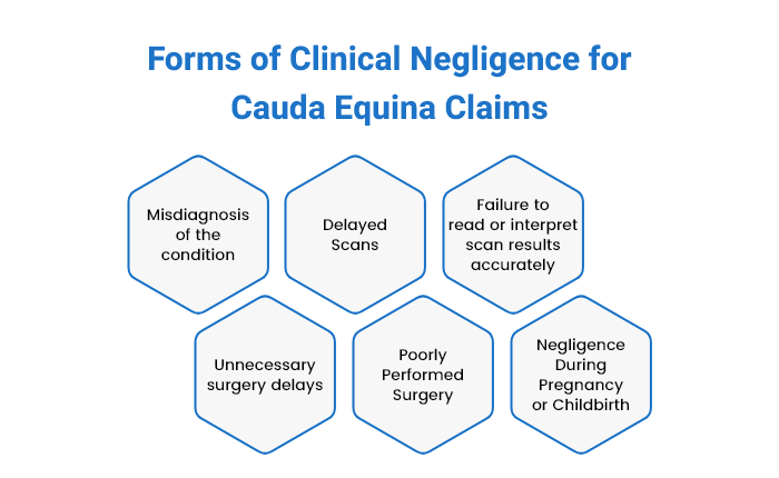 Cauda Equina Syndrome Claims